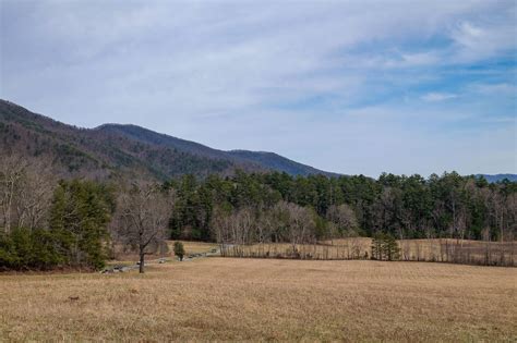 Driving the Cades Cove Loop Road: What You Need To Know