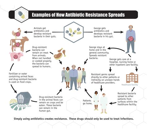 Antibiotic Resistance: MedlinePlus