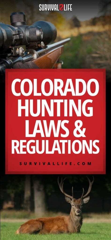 Colorado Hunting Laws And Regulations - American Gun Association