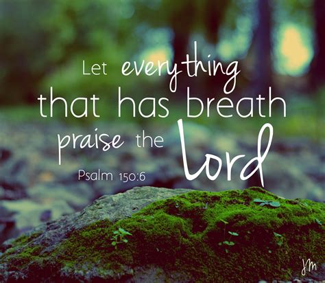 "Let everything that has breath praise the Lord." Psalm 150:6 Photo ...