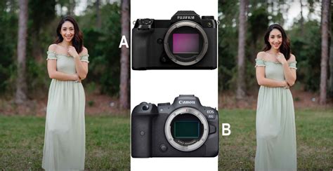 Fujifilm GFX100S vs Canon R6: Is Medium Format Worth It? This Guy Says ...