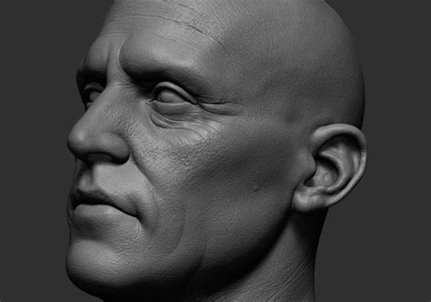 3D realistic head model - TurboSquid 1314732