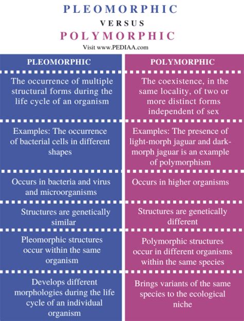 What is the Difference Between Pleomorphic and Polymorphic - Pediaa.Com