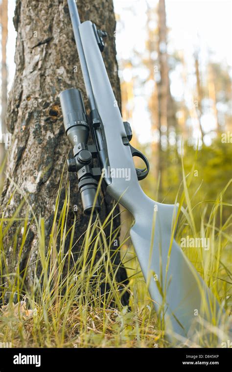 Rifle with telescopic sight in outdoor Stock Photo - Alamy