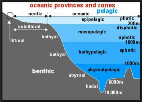 Aquatic Ecosystems UPSC