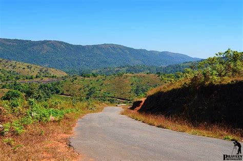 Pushpagiri Wildlife Sanctuary, Coorg (2023) | Timings, Entry Fees, Safaris