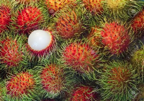 A Grade Rambutan Fruit, Packaging Type: Loose at Rs 250/kilogram in ...