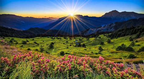 1680x1050 Resolution meadow, flowers, mountains 1680x1050 Resolution ...