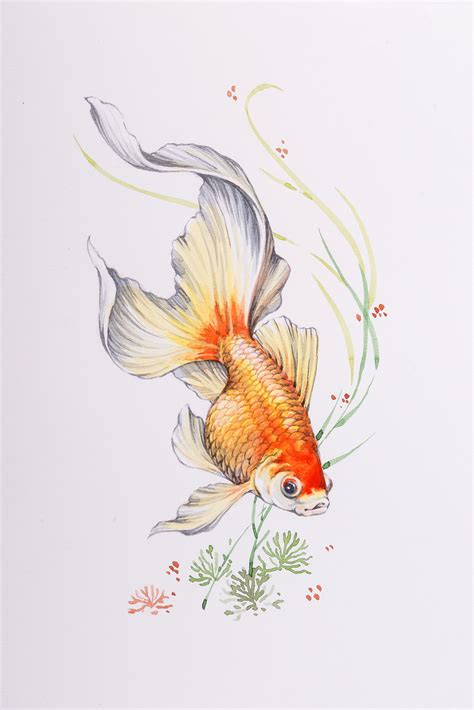 Golfish - Watercolor | Goldfish watercolor, Koi art, Fish drawings