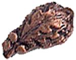 Bronze Oak Leaf Cluster Ribbon Device