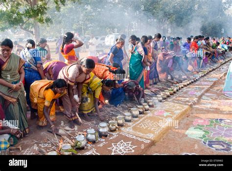 Women celebrating, Pongal festival, Tamil Nadu, India Stock Photo - Alamy