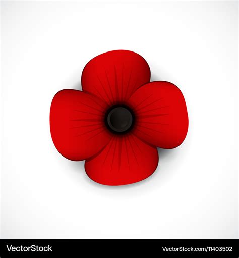 Poppy Royalty Free Vector Image - VectorStock