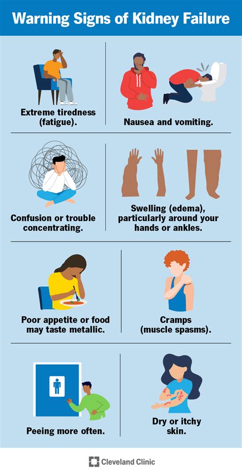 Risk Factors And Precautions For Acute Renal Failure - Ask The Nurse Expert