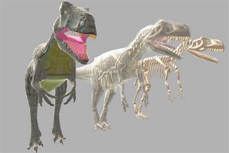 Allosaurus And Skeleton - Free Download | Dev Asset Collection