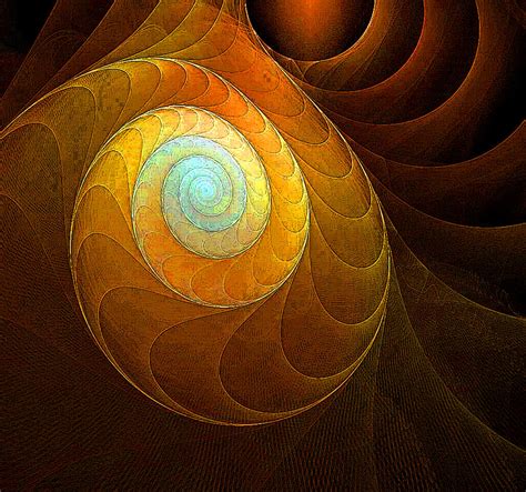 Golden Spiral Digital Art by Amanda Moore