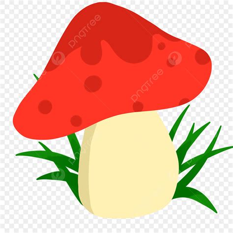 Edible Mushroom Clipart Transparent PNG Hd, Mushroom Wild Cute Edible ...