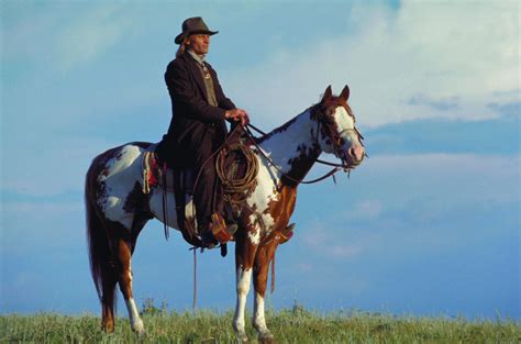 Viggo Mortensen and Hidalgo | Horse movies, Horses, Horse love