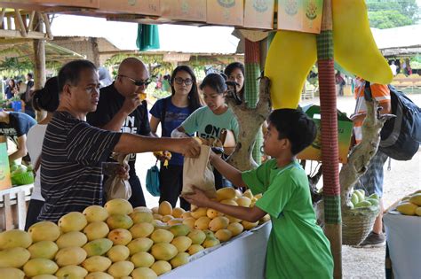 Guimaras Island scraps ‘mango-eat-all-you-can’ feast in 2021 Manggahan ...