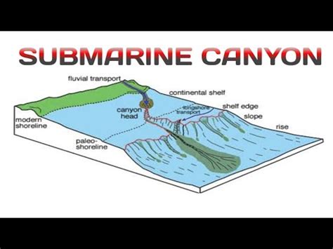 Submarine Canyon - YouTube