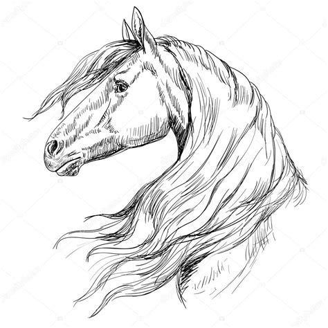 Outline Horse head Stock Vector Image by ©tanjasum84.gmail.com #99099056