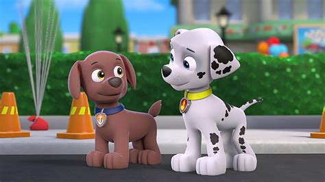 Watch PAW Patrol Season 1 Episode 25: PAW Patrol - Pups Great Race/Pups ...