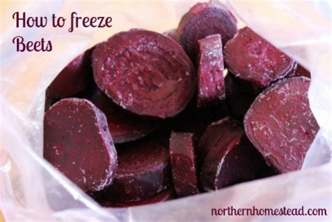 How to Freeze Beets for Winter in 3 Easy Ways - Northern Homestead