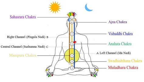 Knowledge of Self - Chakras and Nadis - The Yoga Place