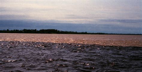 Rio Negro, Manaus, Brazil - Travel Photos by Galen R Frysinger ...