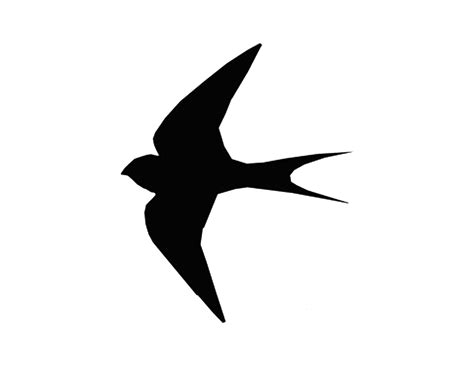 BIRD STENCIL | Swallows, Stenciling and Google search