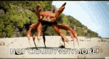 Crab Dancing GIFs | Tenor