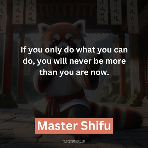 The Top 25 Most Iconic Master Shifu Quotes – Success Minded