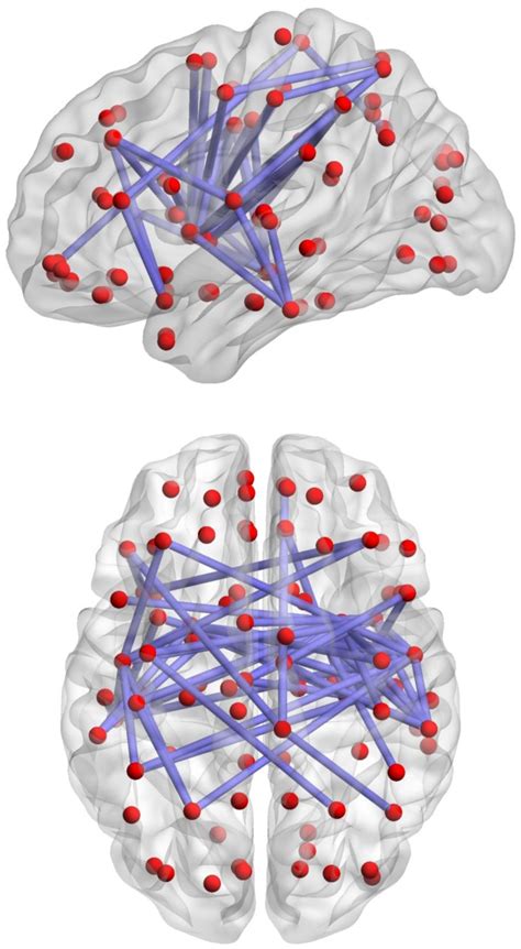 Red dots represent stereotactic centroids of brain regions (nodes ...