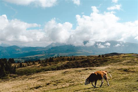 Hiking at Alpe di Siusi - HER TRAVEL NOTES