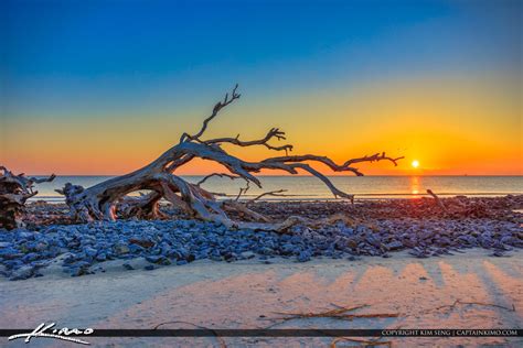 Georgia Jekyll Island Most Beautiful Sunrise on Driftwood Beach | Royal ...