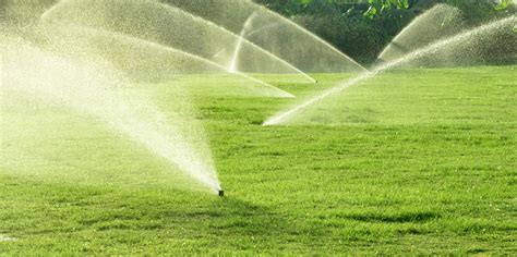 What Is The Difference Between Drip Irrigation And A Sprinkler System?