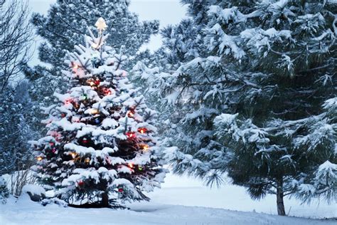 Will we get a White Christmas this year? What defines a ‘White ...