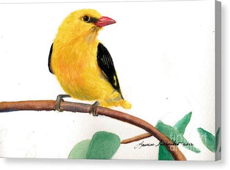 Yellow Bird Watercolor at PaintingValley.com | Explore collection of ...