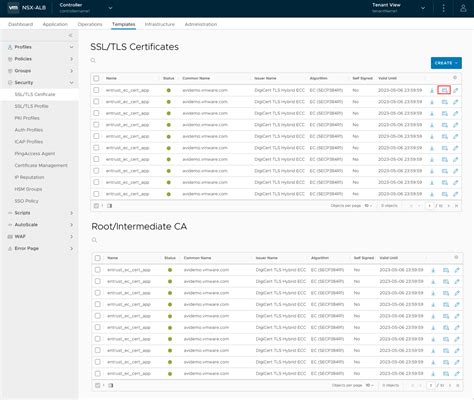 Integrating Let's Encrypt Certificate Authority with NSX Advanced Load ...