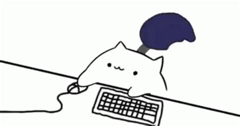 Steelseries Oled Gifs Cat