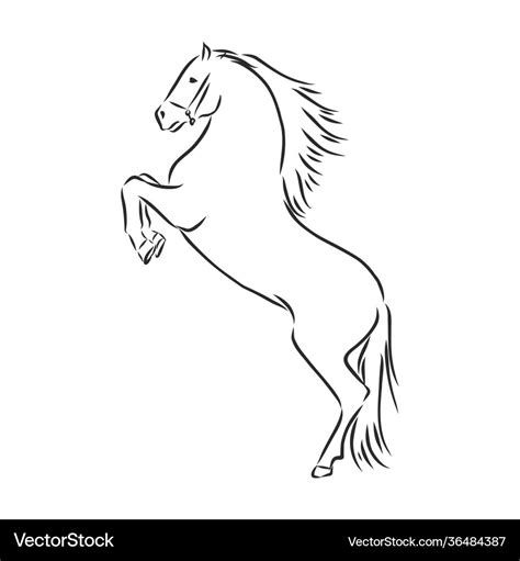 Incredible Compilation of Full 4K Horse Drawing Images: Over 999 ...