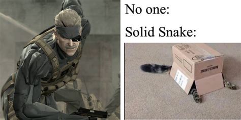 Metal Gear Solid: 10 Funniest Memes About Solid Snake