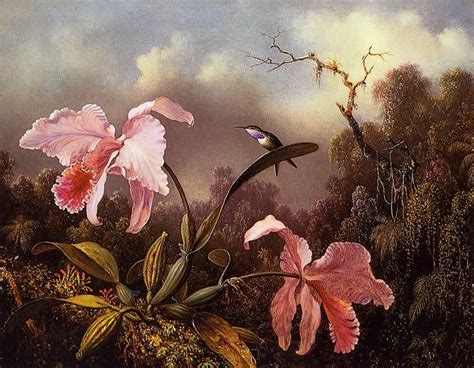 Martin Johnson Heade Orchids and Hummingbird 2 painting | framed ...