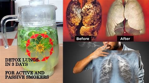 How To Help Lungs After Quitting Smoking at John Messick blog