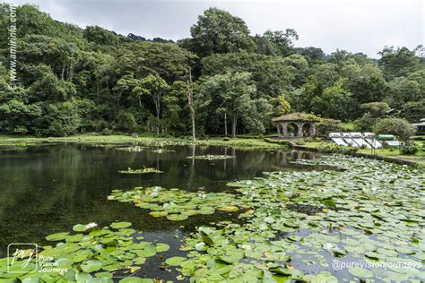 Selva Negra Ecolodge – Nicaragua – Pure Vision