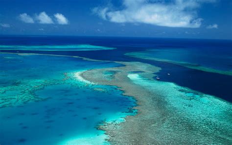 Great Barrier Reef Australia - BookToday Travel News