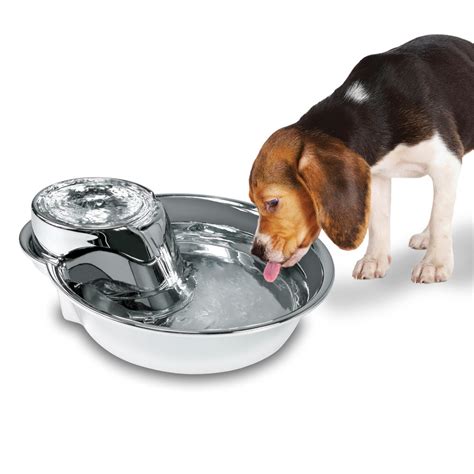 Pioneer Pet Big Max Single Bowl Automatic Water Dispenser & Reviews ...