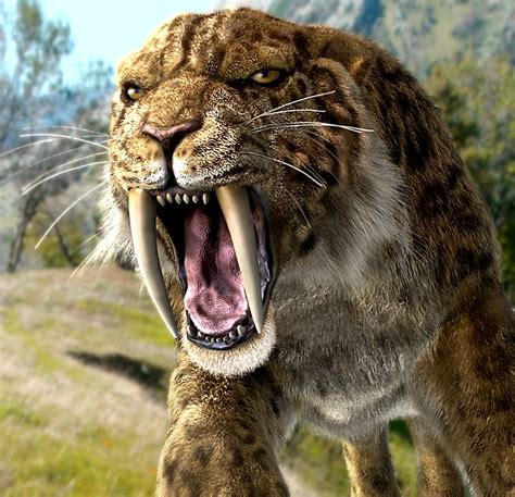 Smilodon | Smilodon | Smilodon, Extinct animals, Prehistoric