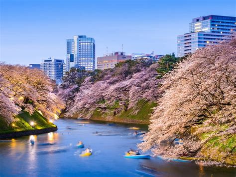 Highlights of Japan Holiday - Suggested Itinerary - Steppes Travel