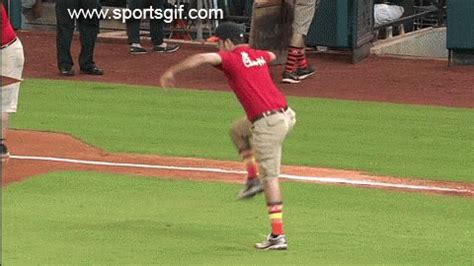 GIF baseball - animated GIF on GIFER