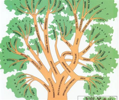 Language Continuity: Language family trees: what are they good for?